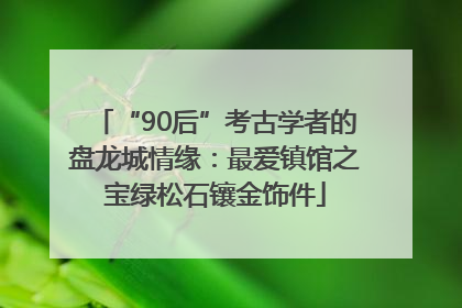 “90后”考古学者的盘龙城情缘：最爱镇馆之宝绿松石镶金饰件