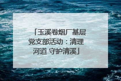 玉溪卷烟厂基层党支部活动：清理河道 守护清溪