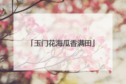 玉门花海瓜香满田