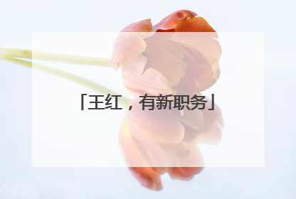 王红，有新职务