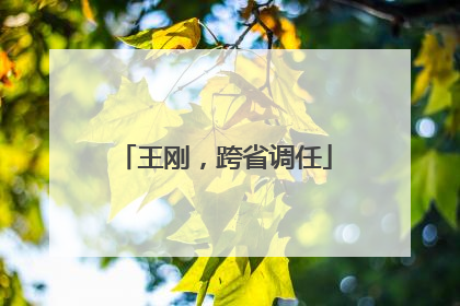 王刚，跨省调任