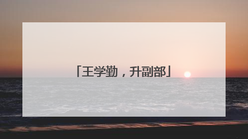 王学勤，升副部