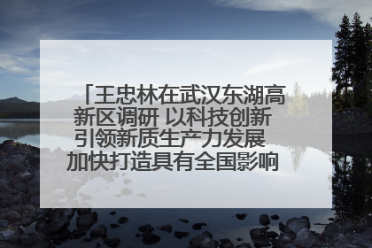 王忠林在武汉东湖高新区调研 以科技创新引领新质生产力发展 加快打造具有全国影响力的科技创新高地