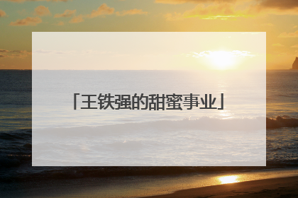 王铁强的甜蜜事业