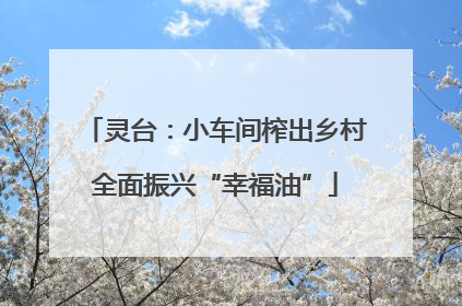灵台：小车间榨出乡村全面振兴“幸福油”