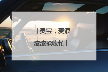 灵宝：麦浪滚滚抢收忙
