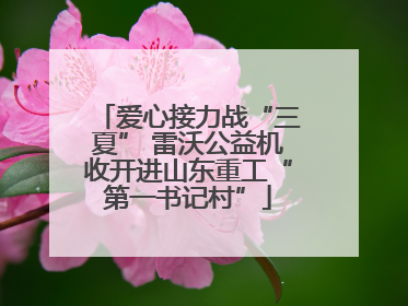 爱心接力战“三夏” 雷沃公益机收开进山东重工“第一书记村”