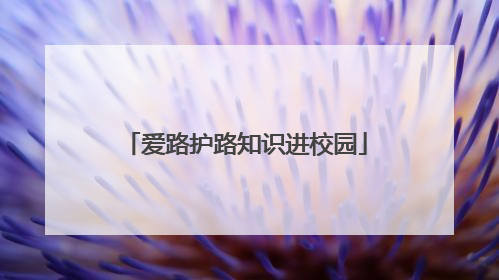 爱路护路知识进校园