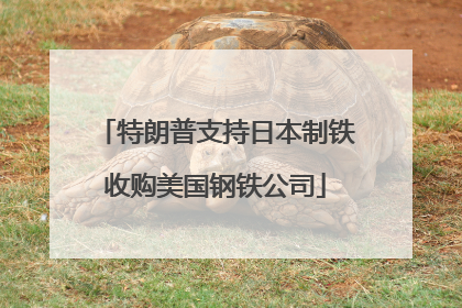 特朗普支持日本制铁收购美国钢铁公司