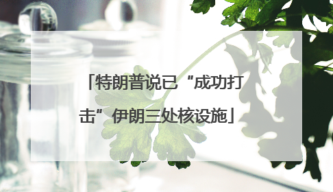 特朗普说已“成功打击”伊朗三处核设施