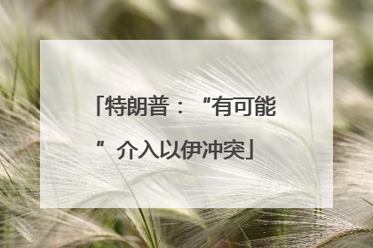 特朗普：“有可能”介入以伊冲突