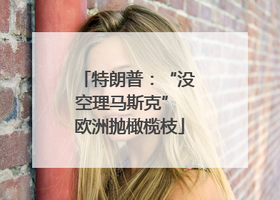 特朗普：“没空理马斯克” 欧洲抛橄榄枝
