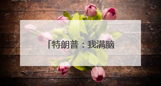 特朗普：我满脑子都是中国，没空搭理马斯克