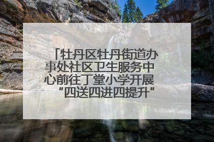 牡丹区牡丹街道办事处社区卫生服务中心前往丁堂小学开展“四送四进四提升”及无烟日宣传活动