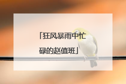狂风暴雨中忙碌的赵值班
