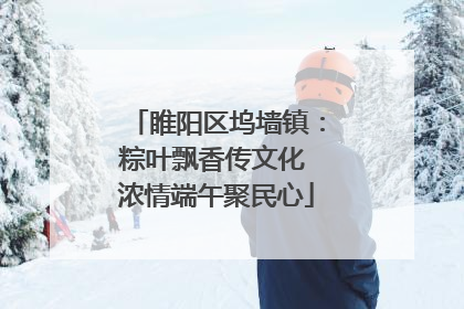 睢阳区坞墙镇：粽叶飘香传文化 浓情端午聚民心