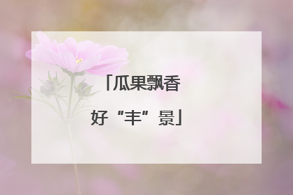 瓜果飘香 好“丰”景