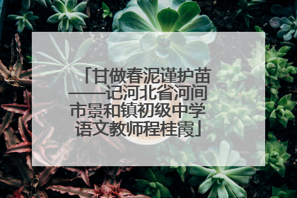 甘做春泥谨护苗——记河北省河间市景和镇初级中学语文教师程桂霞