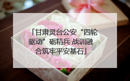 甘肃灵台公安“四轮驱动”砺精兵 战训融合筑牢平安基石