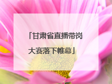 甘肃省直播带岗大赛落下帷幕