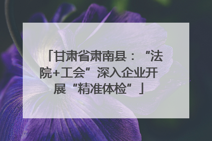 甘肃省肃南县：“法院+工会”深入企业开展“精准体检”