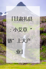 甘肃礼县：小艾草“链”上大产业