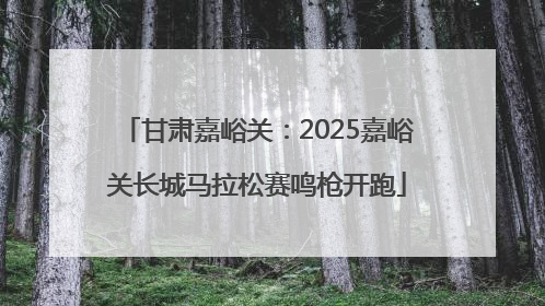 甘肃嘉峪关：2025嘉峪关长城马拉松赛鸣枪开跑