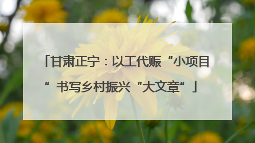 甘肃正宁：以工代赈“小项目”书写乡村振兴“大文章”