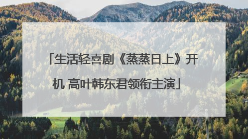 生活轻喜剧《蒸蒸日上》开机 高叶韩东君领衔主演