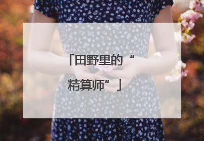 田野里的“精算师”