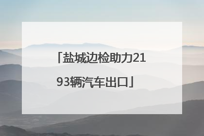 盐城边检助力2193辆汽车出口