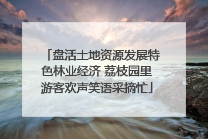 盘活土地资源发展特色林业经济 荔枝园里游客欢声笑语采摘忙