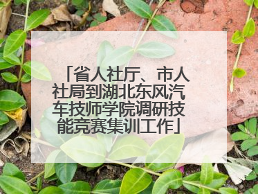 省人社厅、市人社局到湖北东风汽车技师学院调研技能竞赛集训工作