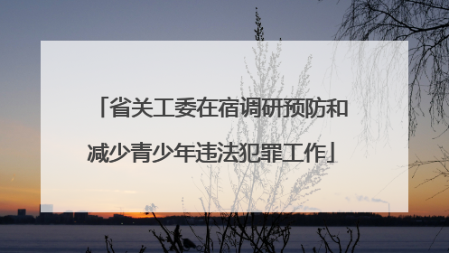 省关工委在宿调研预防和减少青少年违法犯罪工作