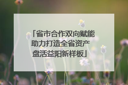 省市合作双向赋能 助力打造全省资产盘活益阳新样板