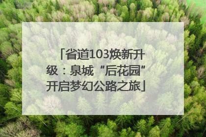 省道103焕新升级：泉城“后花园”开启梦幻公路之旅