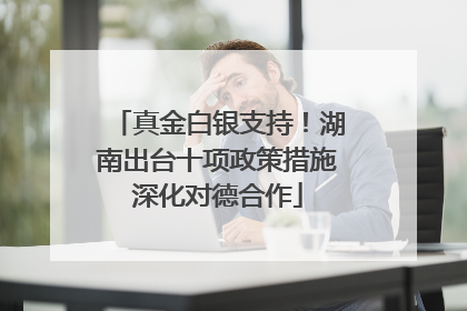 真金白银支持！湖南出台十项政策措施深化对德合作