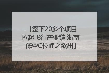 签下20多个项目 拉起飞行产业链 浙南低空C位呼之欲出