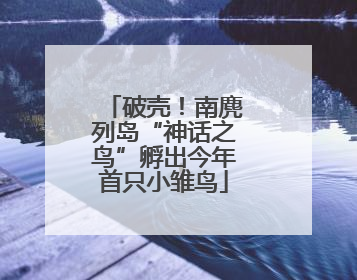 破壳！南麂列岛“神话之鸟”孵出今年首只小雏鸟