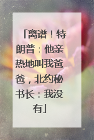 离谱！特朗普：他亲热地叫我爸爸，北约秘书长：我没有