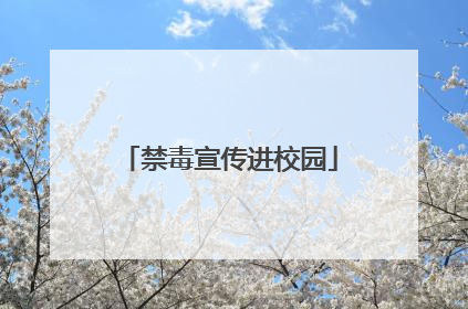禁毒宣传进校园
