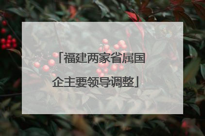 福建两家省属国企主要领导调整