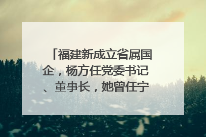 福建新成立省属国企，杨方任党委书记、董事长，她曾任宁德市委副书记｜张田怡已任县委副书记、县政府党组书记