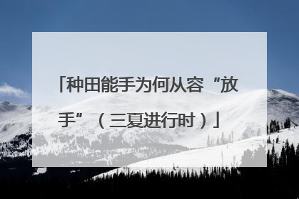 种田能手为何从容“放手”（三夏进行时）