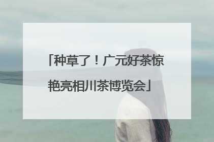 种草了！广元好茶惊艳亮相川茶博览会