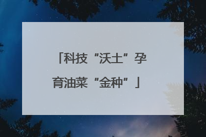 科技“沃土”孕育油菜“金种”