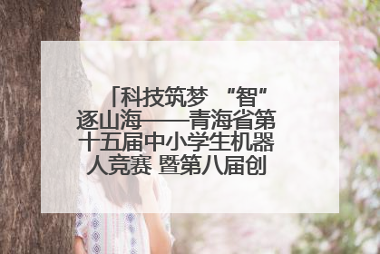 科技筑梦 “智”逐山海——青海省第十五届中小学生机器人竞赛 暨第八届创新设计大赛见闻