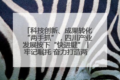 科技创新、成果转化“两手抓”，四川产业发展按下“快进键”丨牢记嘱托 奋力打造两高地两基地一屏障