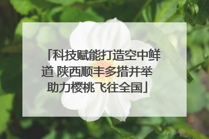 科技赋能打造空中鲜道 陕西顺丰多措并举助力樱桃飞往全国