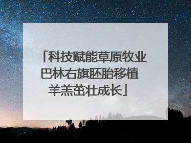 科技赋能草原牧业 巴林右旗胚胎移植羊羔茁壮成长